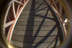 514282984_217d7eced9