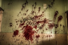 Royal-Derwent-Hospital-Admissions-Ward_009